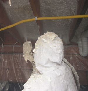 Rochester NY crawl space insulation